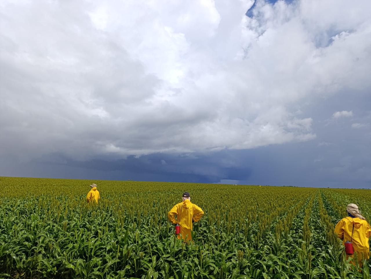 WhatsApp Image 2025-07-29 at 16.37.57 (2)